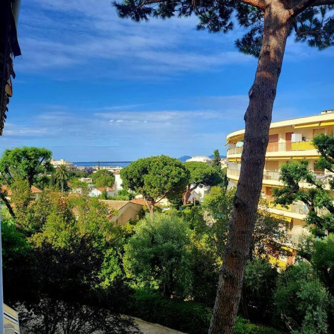 Grand Studio Localisation Ideale Antibes Luaran gambar